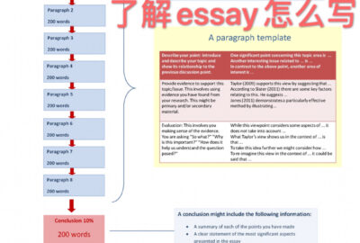 留学生论文篇