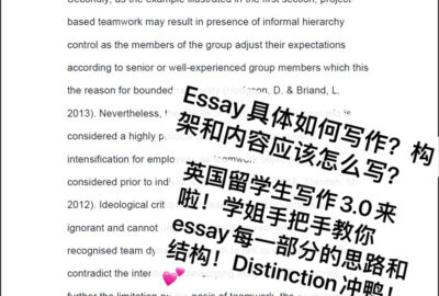 Essay保姆级教学