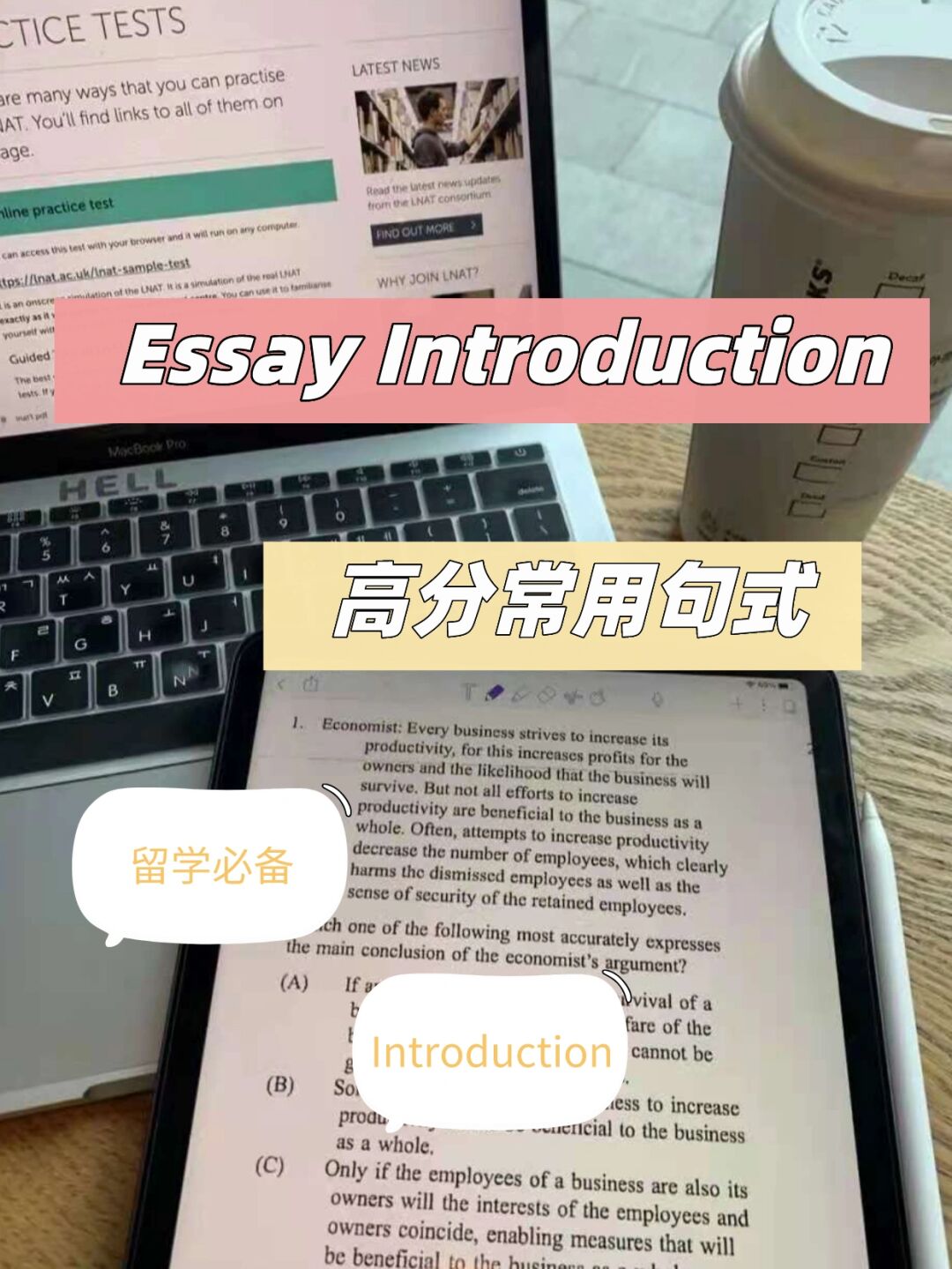 Essay Introduction