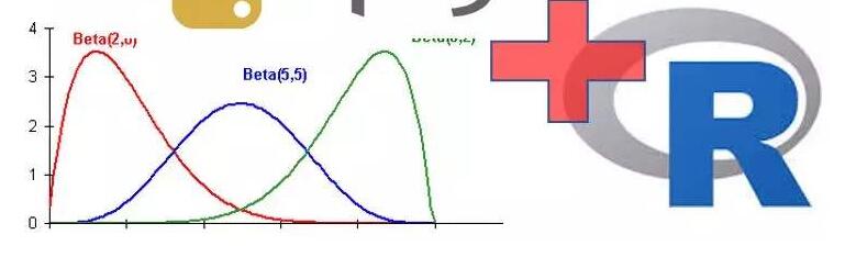 R function代写