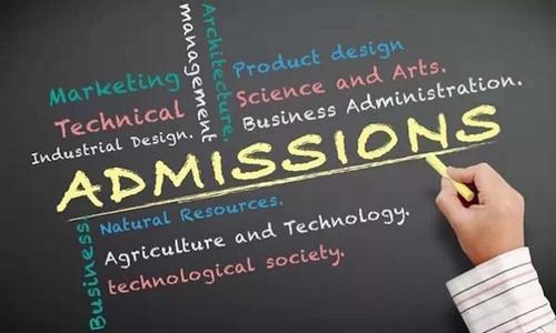 Admission Essay代写