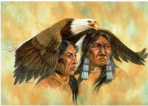 American Indians代写