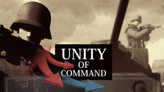 Unity of Command代写