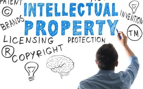 Intellectual Property Rights代写