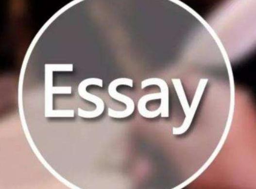 essay