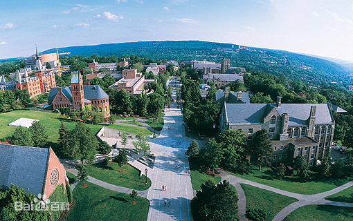 Cornell University代写