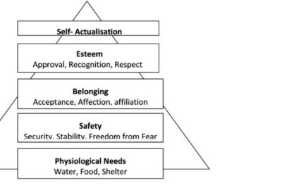 Organizational Behaviour代写