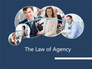 Agency law case代写