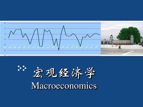 Macroeconomics代写