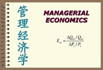 Managerial Economics代写