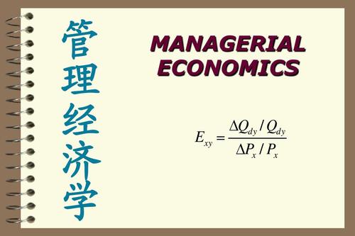 Managerial Economics代写