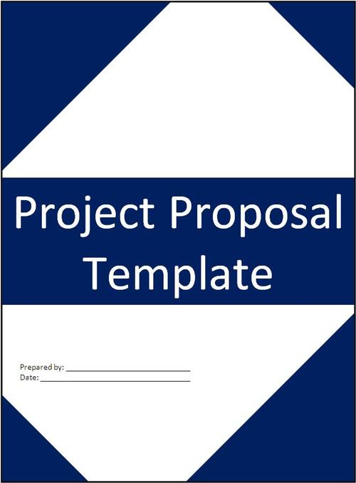 Project Proposal代写